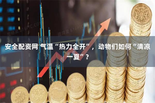 安全配资网 气温“热力全开”，动物们如何“清凉一夏”？